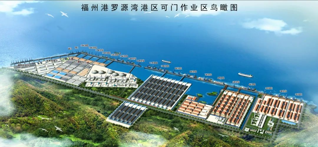 学两会 见行动06.jpg