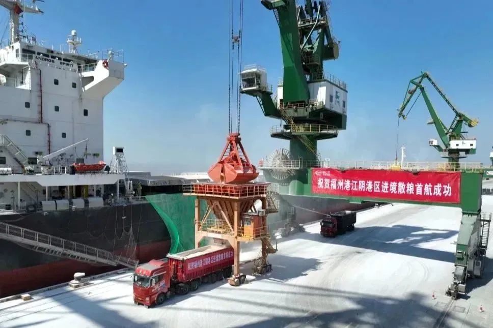 三争三提 福州港江阴港区迎来首批进境散粮01.jpg