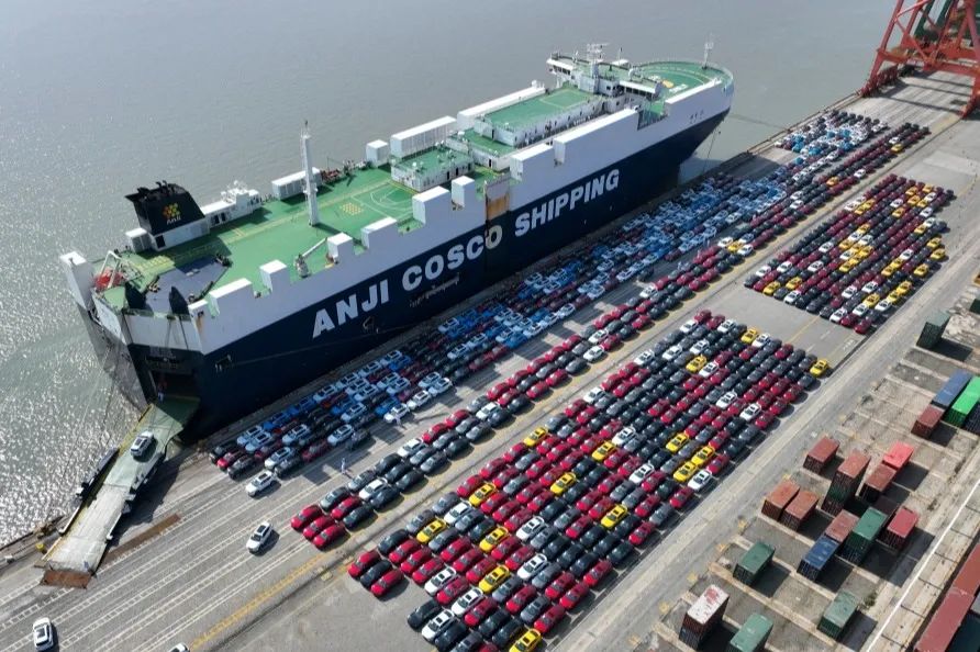 媒体关注丨多式联运 福州港火力全开02.jpg