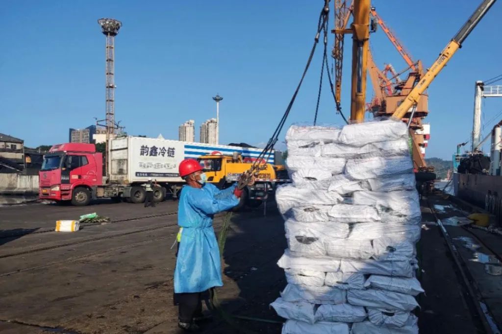 三争三提丨福港马尾远洋渔获“稳增长” 助力生产“提信心”01.jpg