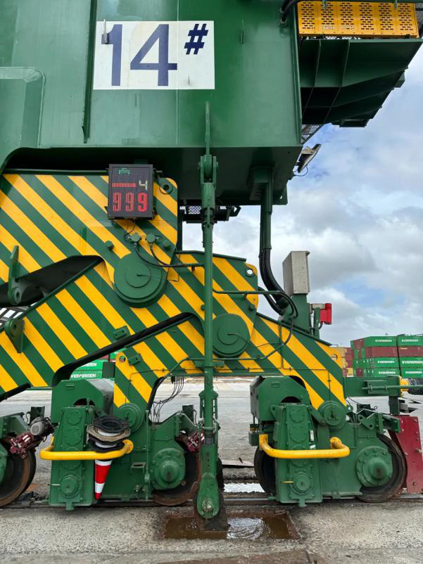 迎战“杜苏芮” 福港在行动06.png