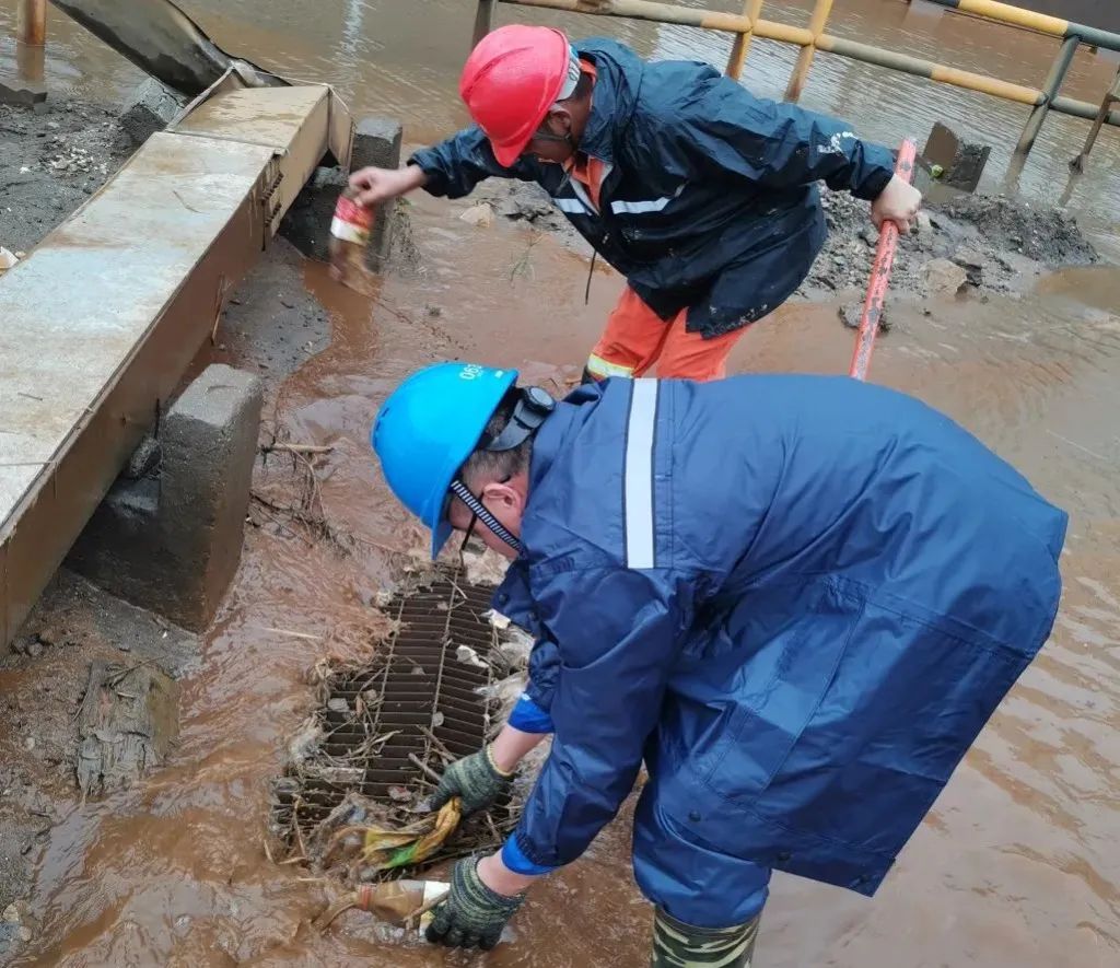 主题教育见行动 台风过后复产快04.jpg