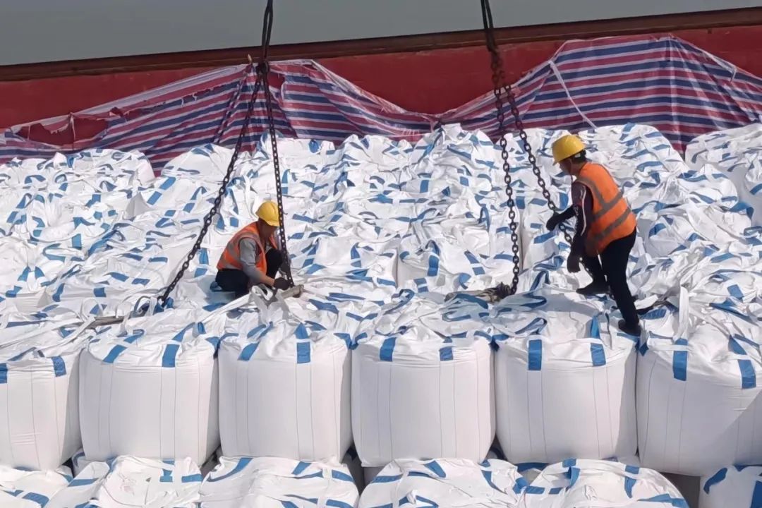 百日攻坚 长通码头PTA船舶作业效率再创开港新高02.jpg