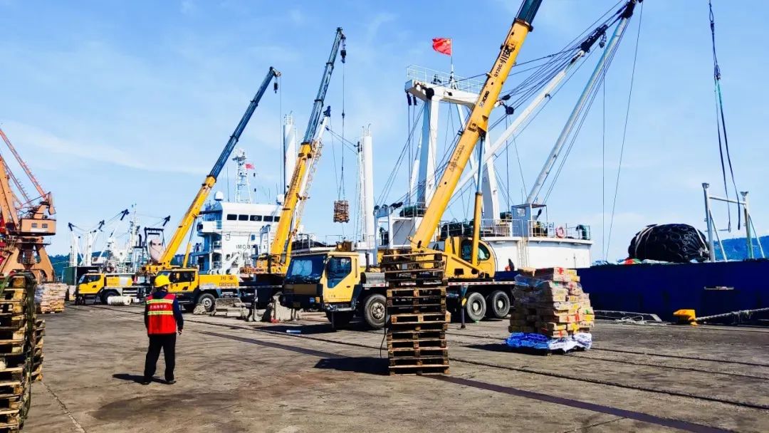生产动态丨福港马尾6月冻鱼卸船量创年内新高01.jpg