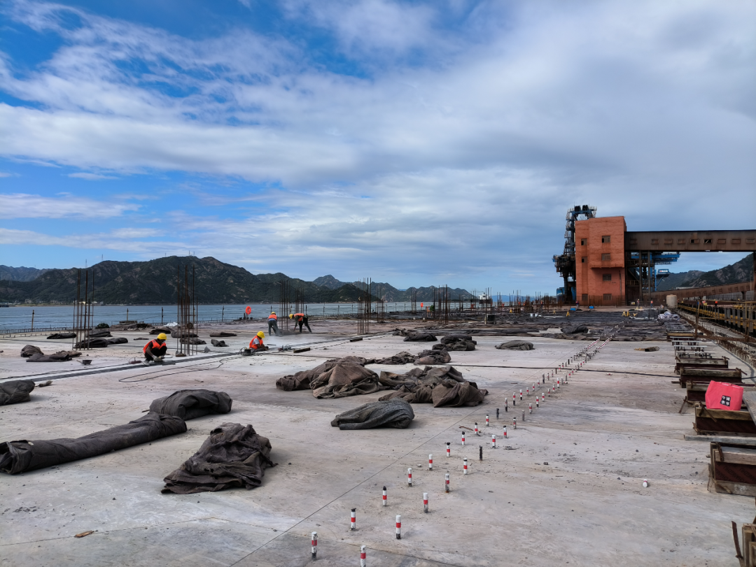 无惧风雨与烈日 他们交出第一份答卷01.png